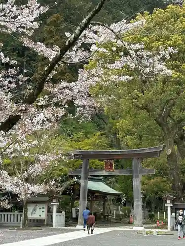 高麗神社の鳥居