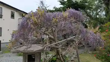 法雲寺(北海道)