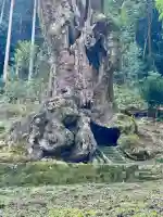 武雄神社の{uncategorized: "未分類", other: "その他", undefined: "問題あり", building: "その他建物", grave: "お墓", sacred_gate: "鳥居", guardian: "狛犬", statue: "像", buddha: "仏像", history: "歴史", nature: "自然", garden: "庭園", animal: "動物", pagoda: "塔", temizu: "手水舎", mountain_gate: "山門・神門", sanctuary: "本殿・本堂", subordinate: "末社・摂社", art: "芸術", scenery: "景色", jizo: "地蔵", ema: "絵馬", goshuin: "御朱印", omikuji: "おみくじ", items: "授与品その他", amulet: "お守り", goshuincho: "御朱印帳", eats: "食事", festival: "お祭り", votive_dance: "神楽", shichigosan: "七五三参", wedding: "結婚式", experience: "体験その他", initially: "初詣", around: "周辺", anti_infection: "感染症対策"}