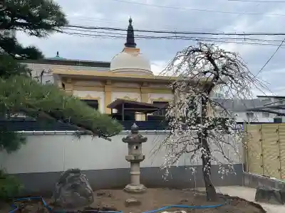 専西寺の{uncategorized: "未分類", other: "その他", undefined: "問題あり", building: "その他建物", grave: "お墓", sacred_gate: "鳥居", guardian: "狛犬", statue: "像", buddha: "仏像", history: "歴史", nature: "自然", garden: "庭園", animal: "動物", pagoda: "塔", temizu: "手水舎", mountain_gate: "山門・神門", sanctuary: "本殿・本堂", subordinate: "末社・摂社", art: "芸術", scenery: "景色", jizo: "地蔵", ema: "絵馬", goshuin: "御朱印", omikuji: "おみくじ", items: "授与品その他", amulet: "お守り", goshuincho: "御朱印帳", eats: "食事", festival: "お祭り", votive_dance: "神楽", shichigosan: "七五三参", wedding: "結婚式", experience: "体験その他", initially: "初詣", around: "周辺", anti_infection: "感染症対策"}