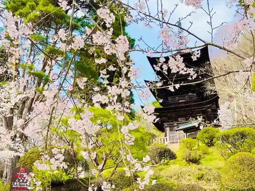 国宝 大法寺(長野県)