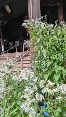 行願寺（革堂）(京都府)