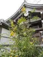 妙長寺のその他建物
