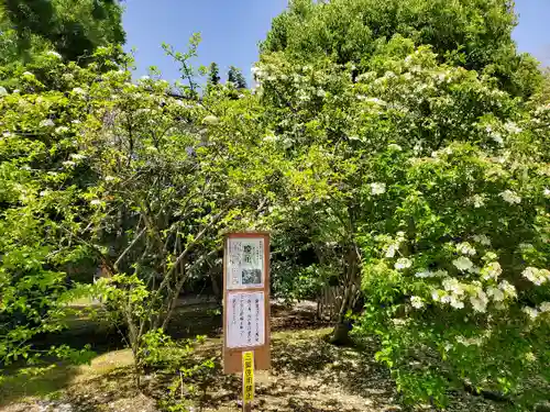 唐招提寺の庭園