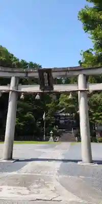 鳥居川御霊神社の鳥居