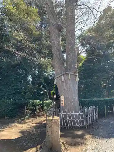 長宮氷川神社(埼玉県)
