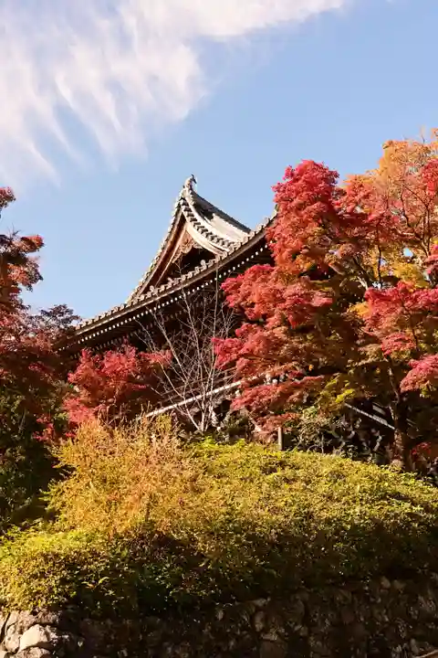 善峯寺(京都府)