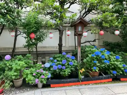 露天神社（お初天神）の庭園