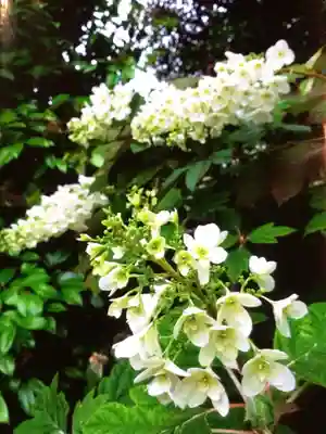 瑞円寺(東京都)