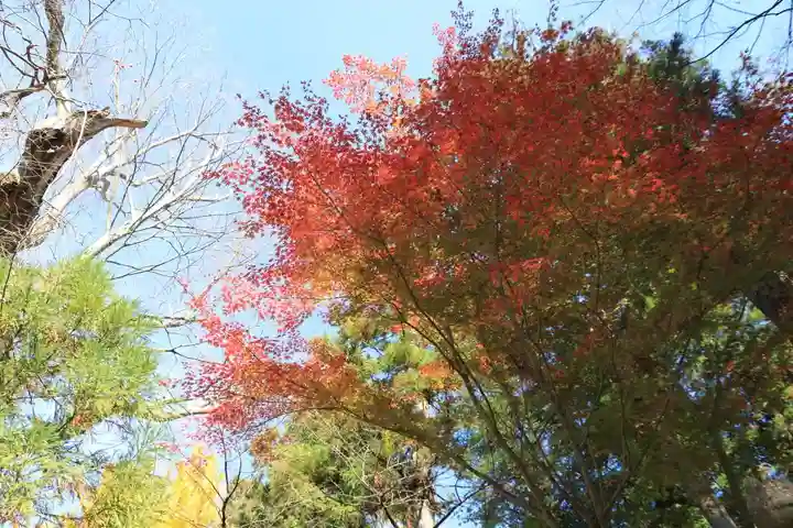 東館稲荷神社の自然