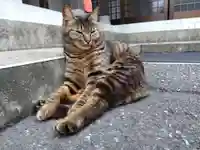 御誕生寺(猫寺)(福井県)