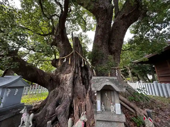 信太森神社(葛葉稲荷神社)(大阪府)