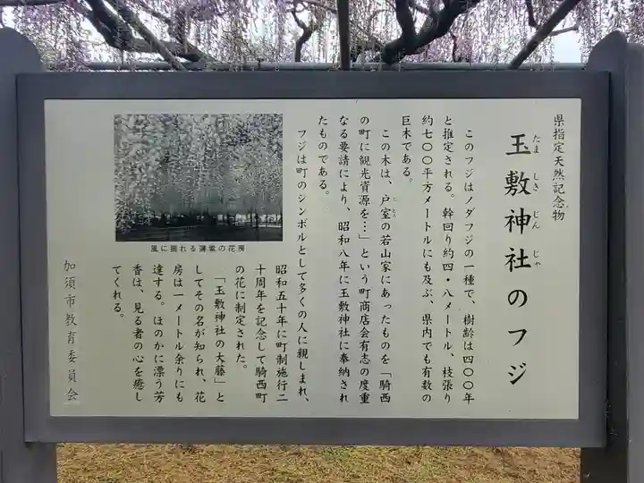 玉敷神社(埼玉県)