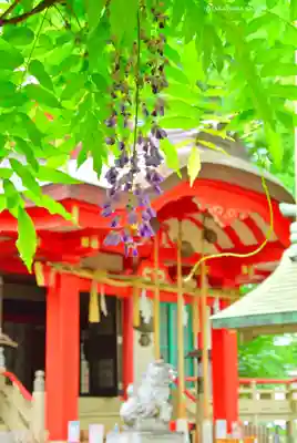 戸部杉山神社(神奈川県)