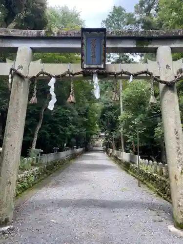 崇道神社の鳥居