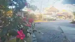 尾張大國霊神社（国府宮）の景色