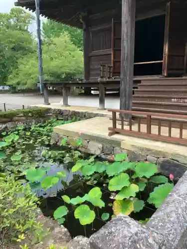 道成寺(和歌山県)