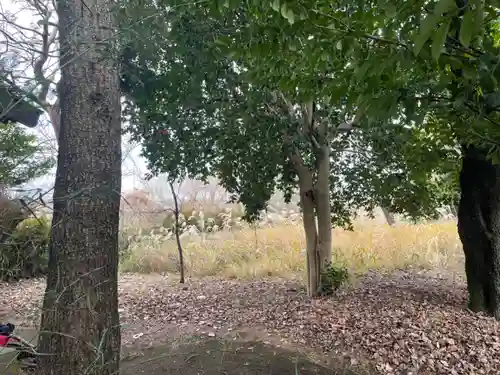 山の神神社(神奈川県)