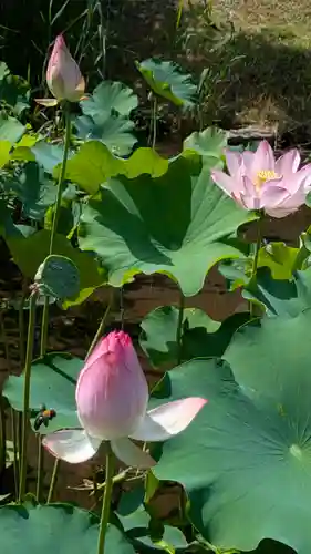  智積院(京都府)