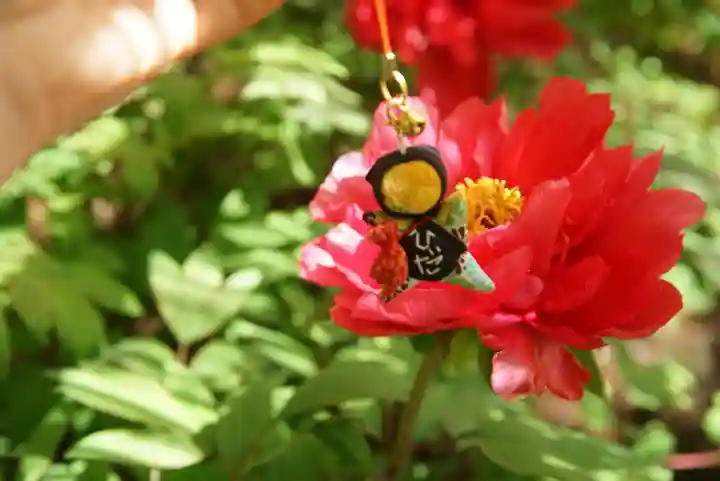 東長谷寺 薬王院の自然