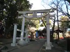 麻賀多神社(千葉県)