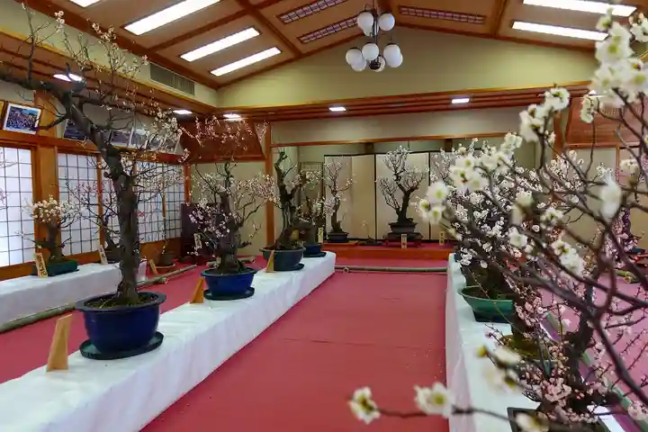 菅原天満宮(菅原神社)の自然