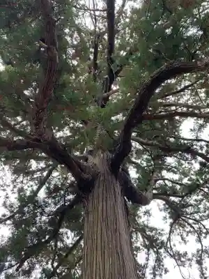 安興寺(千葉県)