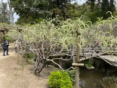歌泉堂（春日大社神苑萬葉植物園内鎮座）(奈良県)