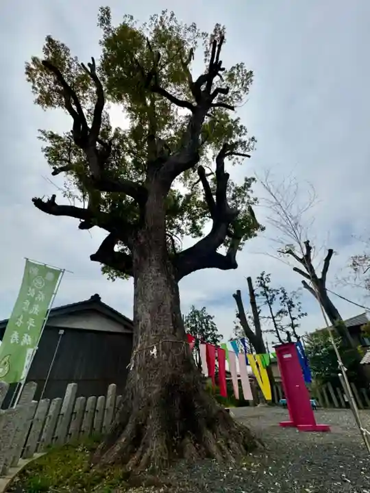玉田神社(京都府)