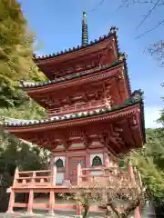 三室戸寺の塔