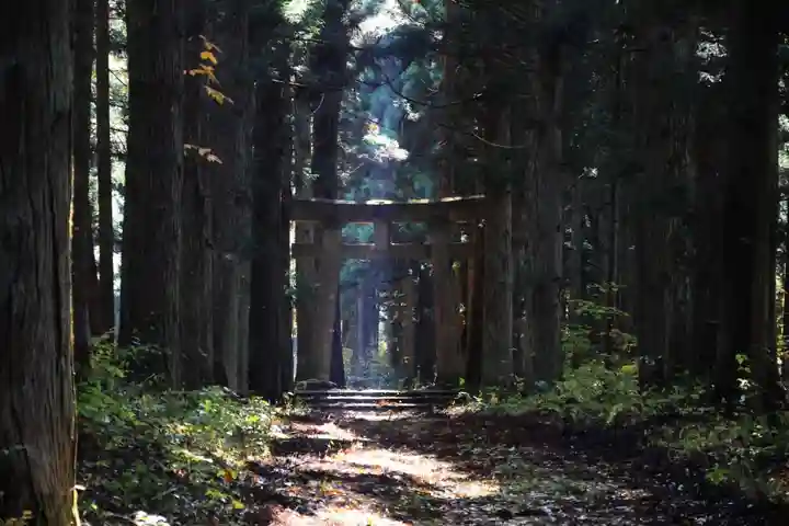 隠津島神社の鳥居