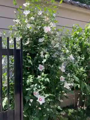 永福寺(東京都)