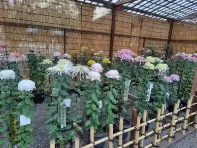 靖國神社(東京都)