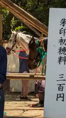 藤森神社(京都府)