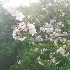 宗形神社(愛知県)