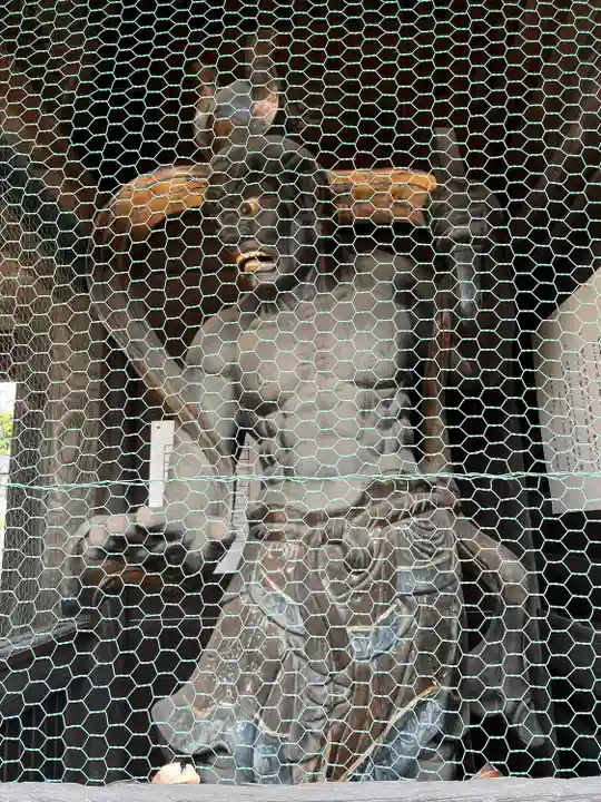 今村神社(群馬県)