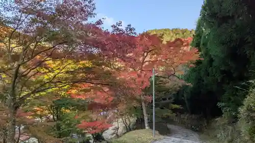 神護寺(京都府)