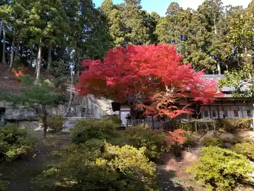 瑞巌寺の庭園