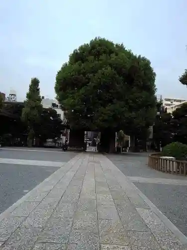 宝仙寺の山門