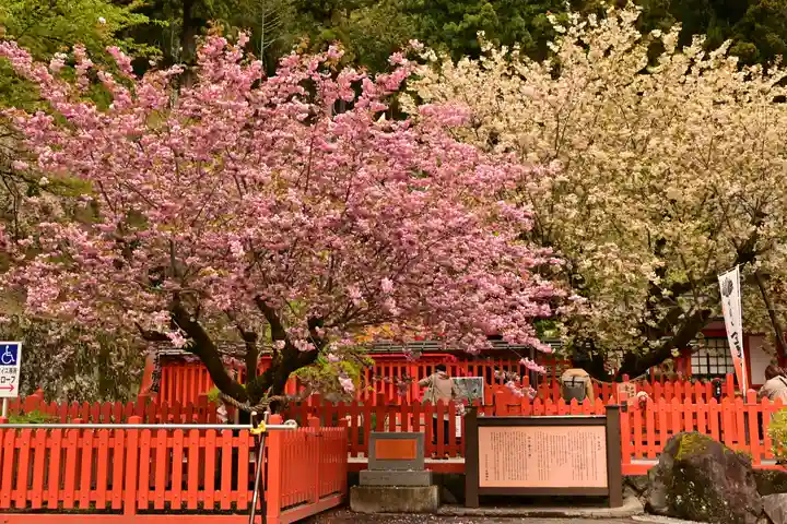 金櫻神社(山梨県)