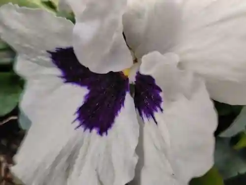 豊景神社(福島県)