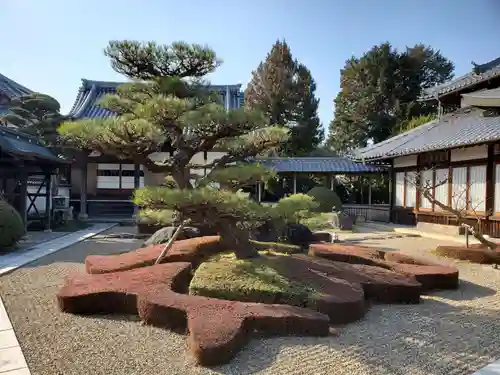 酒見寺の庭園