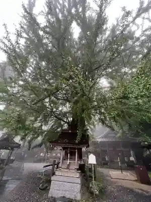 正法寺(滋賀県)