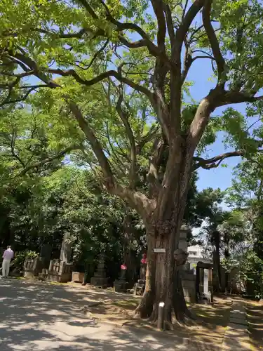 最勝寺教学院の自然