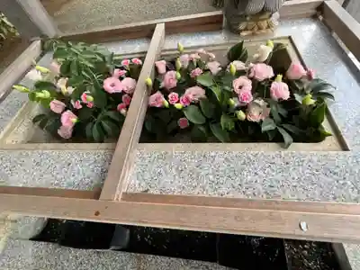 比々多神社(神奈川県)