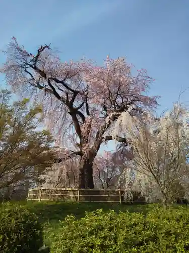 京都大神宮(京都府)