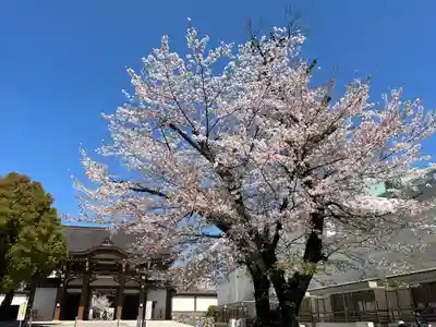 真宗大谷派名古屋別院(愛知県)