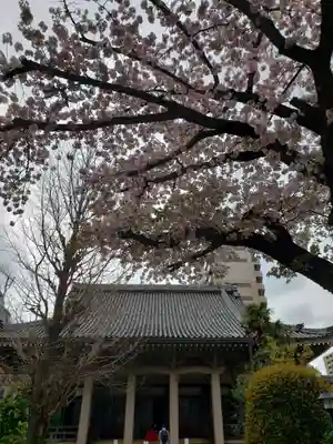 報恩寺(東京都)