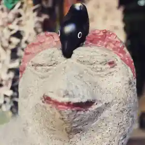 くまくま神社(導きの社 熊野町熊野神社)の狛犬(2021年05月29日(土) 20時03分39秒投稿)