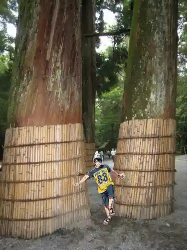 伊勢神宮内宮（皇大神宮）の自然